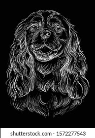 Cavalier King Charles Spaniel vector hand drawing illustration in white color isolated on black background