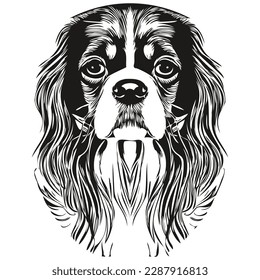 Cavalier King Charles Spaniels logotipo de perro línea dibujada a mano vectores dibujo ilustración de mascotas en blanco y negro
