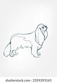 cavalier kings charles spaniel dog breed animal vector line art one line sketch outline