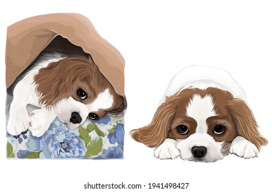 Cavaliers dogs cute puppy vector art