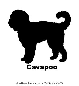 Cavapoo dog icon logo design. Poodle mix puppy sign and symbol. Cavapoo breed icon. Pet shop or breeder branding.
