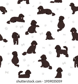 Cavapoo mix breed seamless pattern. Different poses, coat colors set.  Vector illustration