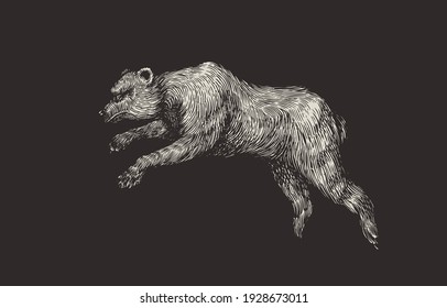 Cave bear. Extinct brown animal. Vintage retro vector illustration. Doodle style. Hand drawn engraved sketch