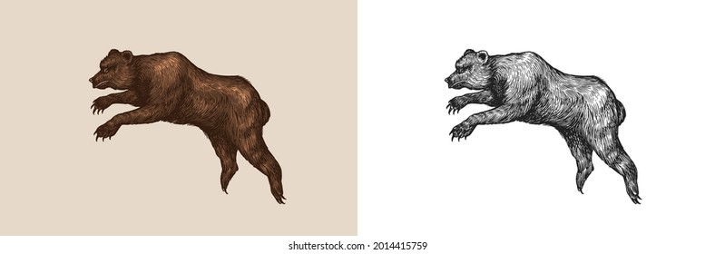Cave bear. Extinct brown animal. Vintage retro vector illustration. Doodle style. Hand drawn engraved sketch