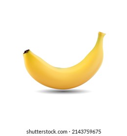 Cavendish banana on white background vector illustration