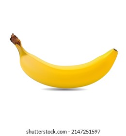 Cavendish banana on white background vector illustration