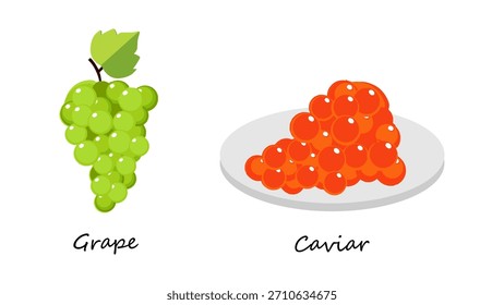 Caviar and Grape Vector Illustration on White Background. Minimalist Caviar and Grape Vector for culinary branding, gourmet packaging, restaurant menus, invitations, product labels.