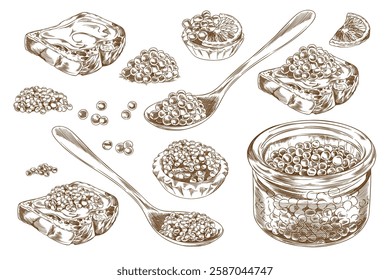 Caviar heaps, on spoon and in glass jar, on tartlet and bread slices engraved hand drawn vector set. Sea food, natural delicacy product, healthy appetizer, snack sketch. Fresh roe Salmon or trout fish