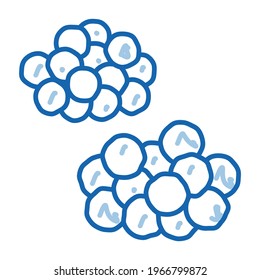 Caviar Heaps sketch icon vector. Hand drawn blue doodle line art Caviar Heaps sign. isolated symbol illustration