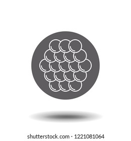 caviar icon. Outline illustration of black caviar vector icon for web
