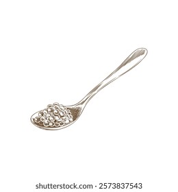 Caviar on a spoon vector engraved hand drawn illustration. Sea food, natural delicacy product, healthy cook ingredient isolated ink sketch. Fresh roe heap from salmon or trout, sturgeon or beluga fish