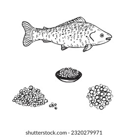 Caviar Lachs Fischstöcke handgezeichnet Vektorset. Schwarz-Weiß-Illustration eines Haufen Kaviar, Kaviar auf einem Teller, roter Fisch. Design-Element von Meeresfrüchten und Delikatessen auf einzeln weißem Hintergrund 