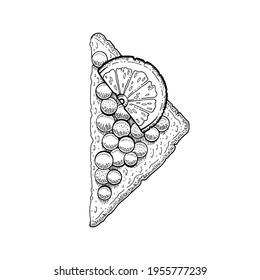 Caviar Sanswich sketch illustration. Salmon caviar with bread, lemon. Vector vintage drawing of fish food. Black red fish egg in hand drawn doodle design. Engrave sanswich sketch art isolated on white