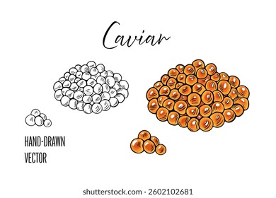 caviar sketch  hand drawn black and red caviar illustration