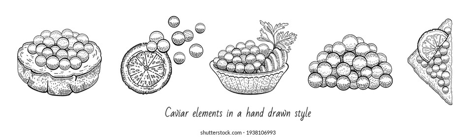 Caviar sketch illustration. Salmon caviar drawing. Vector vintage fish food. Black red fish egg in hand drawn doodle design. Sanswich, basket, plate. Engraved pattern, art cartoon isolated on white
