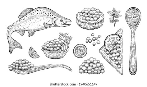 Caviar sketch illustration. Salmon caviar drawing. Vector vintage fish food. Black red fish egg in hand drawn doodle design. Spoon, sanswich, plate. Engraved pattern, art cartoon isolated on white
