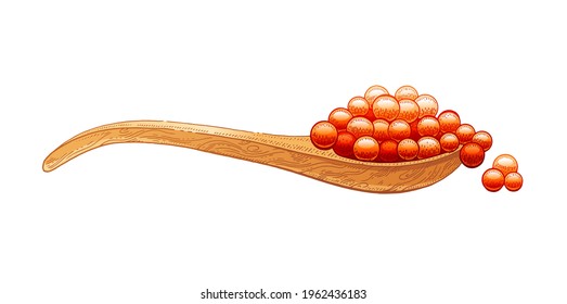 Caviar spoon. Sketch caviar wood spoon. Wooden ladle, shovel with red salmon fish eggs. Vector luxury salt snack. Hand drawn watercolor line sandwich design. Color cartoon engraved drawing of sea food