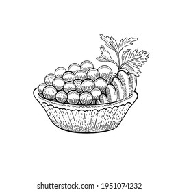 Caviar tartlet sketch illustration. Salmon caviar drawing. Vector vintage fish food. Black red fish egg in hand drawn doodle design. Sanswich basket. Engraved pattern, art cartoon isolated on white