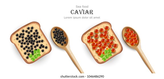 Caviar Vector realistic. Red and black caviar toasts. Top view 3d detailed illustrations