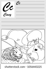 Cavy, english alphabet, coloring outline, write and paint. Set of cards, illustration and text