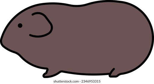 cavy Guinea pig Guinea animal wild Outline