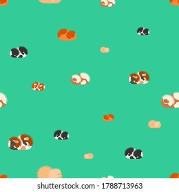 Cavy pattern seamless. guinea pig background. Baby fabric texture