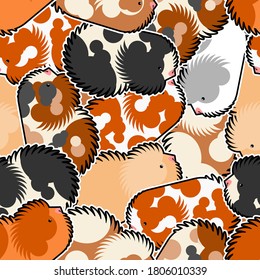 Cavy pattern seamless. guinea pig background. Baby fabric texture