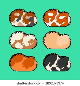 Cavy Set. Guinea Pig Cartoon. Vector Illustration