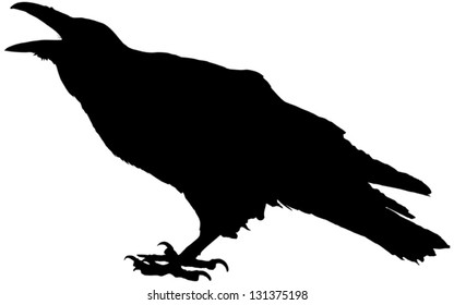 Cawing raven vector silhouette