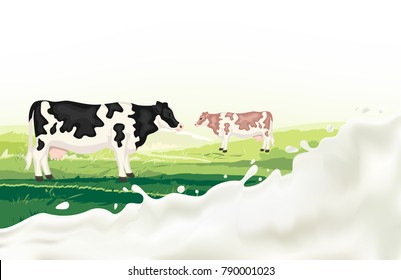 Caws Standing at Green Farm. Milk Splash. Vector EPS