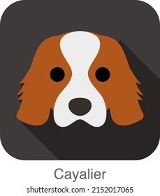 Cayalier dog face flat icon, dog series