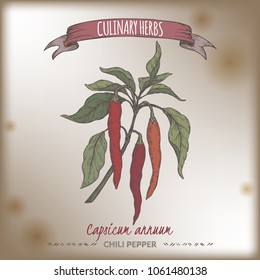 Cayenne pepper aka hot chili, Capsicum annuum hand drawn color sketch. Culinary herbs collection. Great for cooking, medical, gardening design