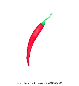 Cayenne pepper. Hand-drawn pepper. Vector illustration. Real watercolor drawing. 