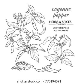 cayenne pepper set