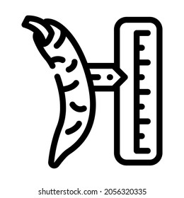 cayenne pepper spice scale line icon vector. cayenne pepper spice scale sign. isolated contour symbol black illustration