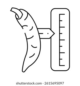 cayenne pepper spice scale line icon vector. cayenne pepper spice scale sign. isolated contour symbol black illustration