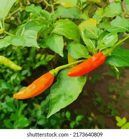 Cayenne Pepper Tree and Leaves