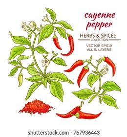 cayenne pepper vector set on color background