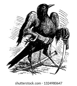 Caym, upper class demon, president of hell, shows himself in the figure of black bird who carries a sword in his hand, vintage engraved line art illustration. Infernal Dictionary 1863.