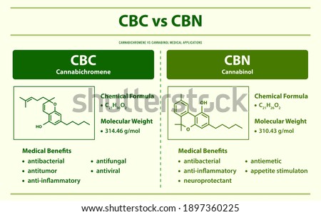CBC vs CBN, Cannabichromene vs Cannabinol horizontal infographic illustration about cannabis as herbal alternative medicine and chemical therapy, healthcare and medical science vector.