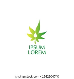 CBD.  Cannabidiol Logo Design.  Marijuana leaf. Medical cannabis. Hemp oil. Cannabis extract. Icon product label and logo graphic template. Isolated vector illustration