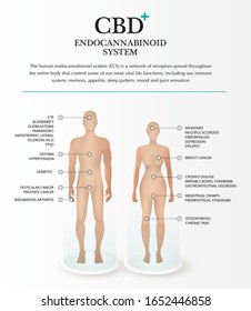cbd endocannabinoid-System-Effekt im Körper Mann und Frau Infografik