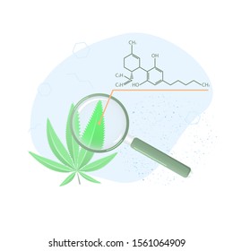 CBD formula and hemp leaves under magnifier. Natural cannabidiol, for wellness,. Flat vector illustration. Concept for health articles, banners, posters