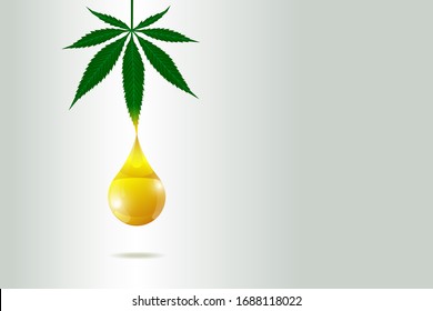CBD hemp oil of medical cannabis poster concept. Marijuana leaf extract drop natural product label design template. Vector eps illustration
