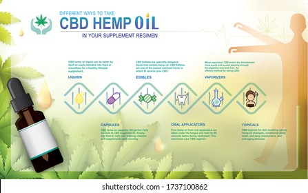 CBD hemp oil in your supplement regimen,vector infographic icon on white background and poster.