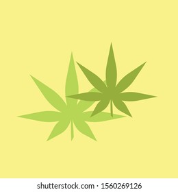 CBD modern design leaf logo