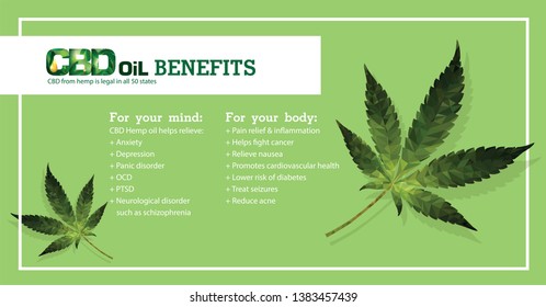 Cbd Oil Benefitsmedical Uses Cbd Hemp Stock Vector (Royalty Free ...