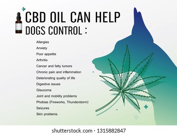 Cbd Oil Can Help Dogs Control And Vector Infographic On White Background.