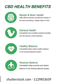 Cbd Oil Health Medical  Benefits In Human Icon Infographic