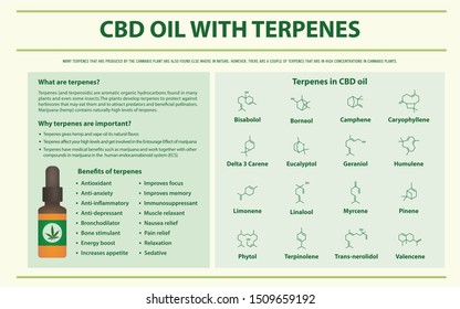 4,783 Cbd Terpenes Images, Stock Photos & Vectors | Shutterstock